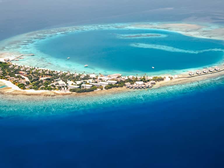 Banana Reef In Maldives in Maldives