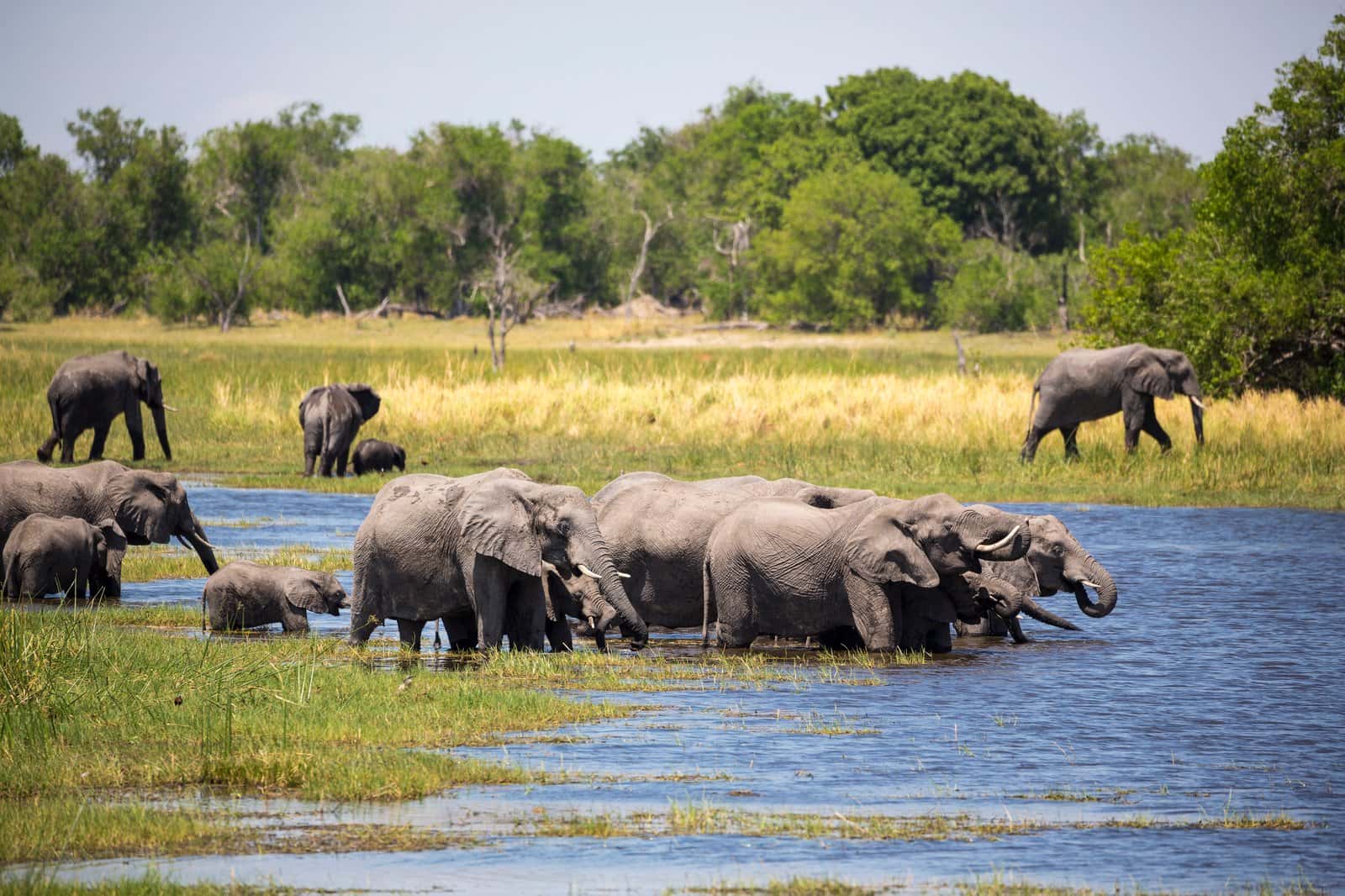 Sunset Boat Cruise at Chobe National Park in Botswana