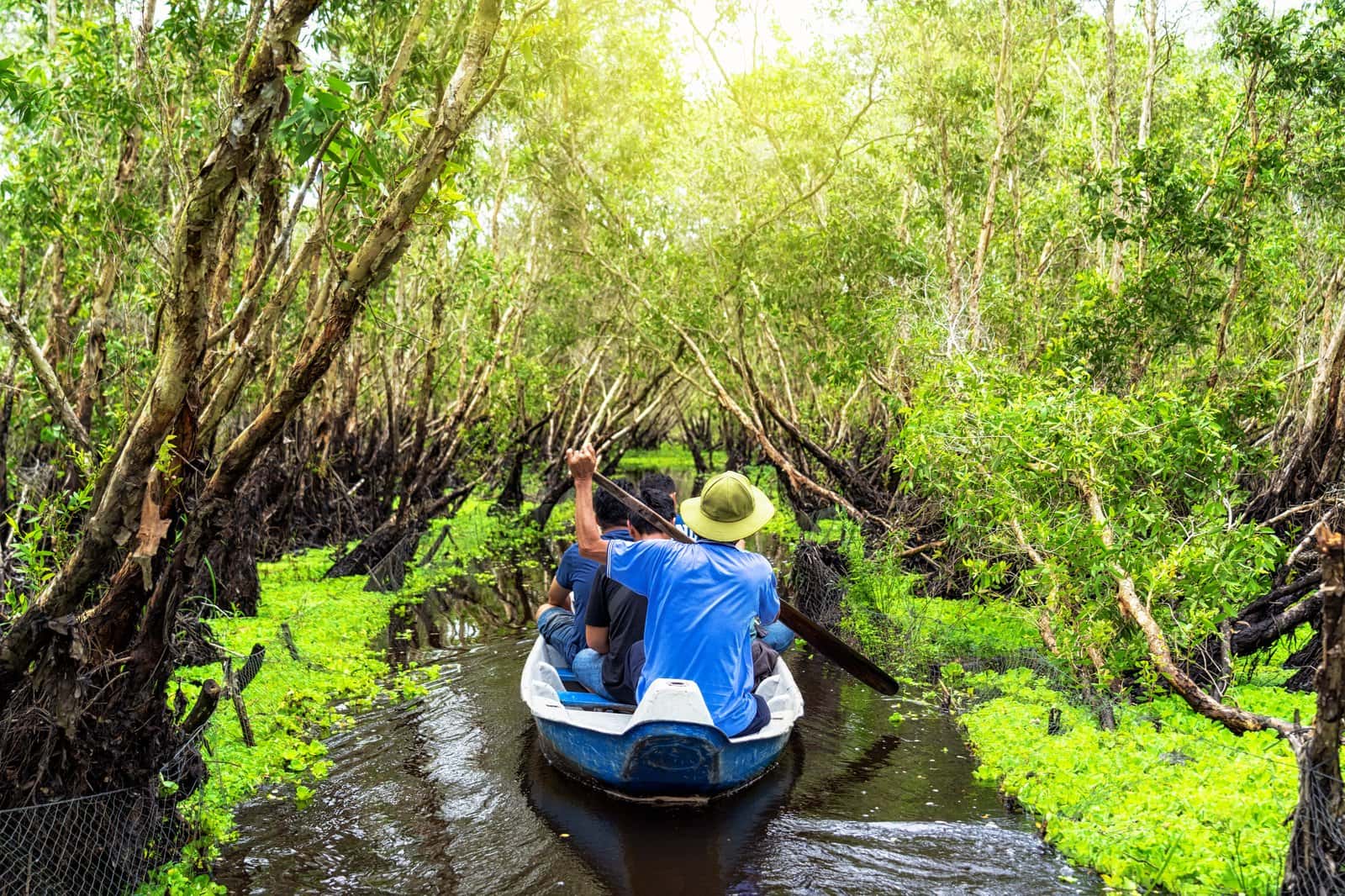 Cruise Through the Mangroves in Sri Lanka