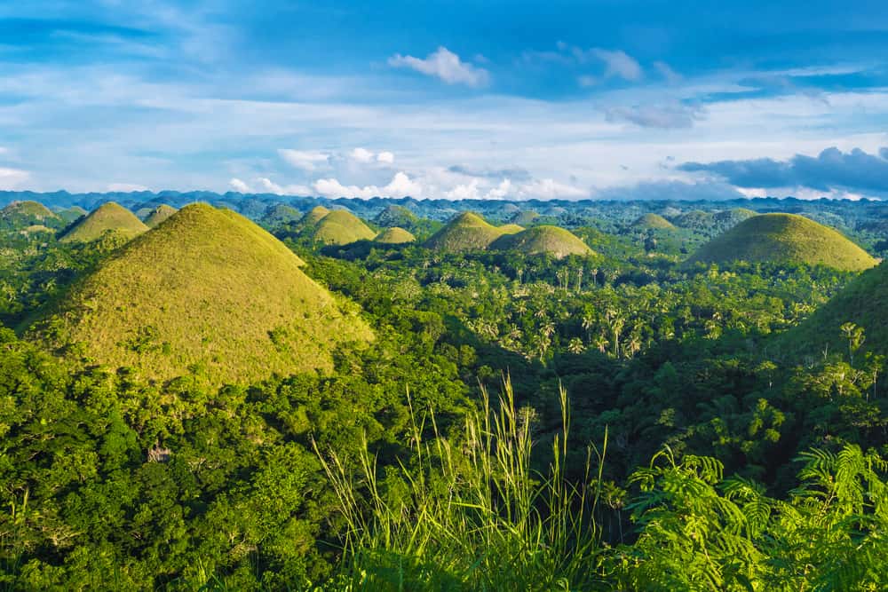 Enjoy The Unusual Chocolate Hills in Philippines