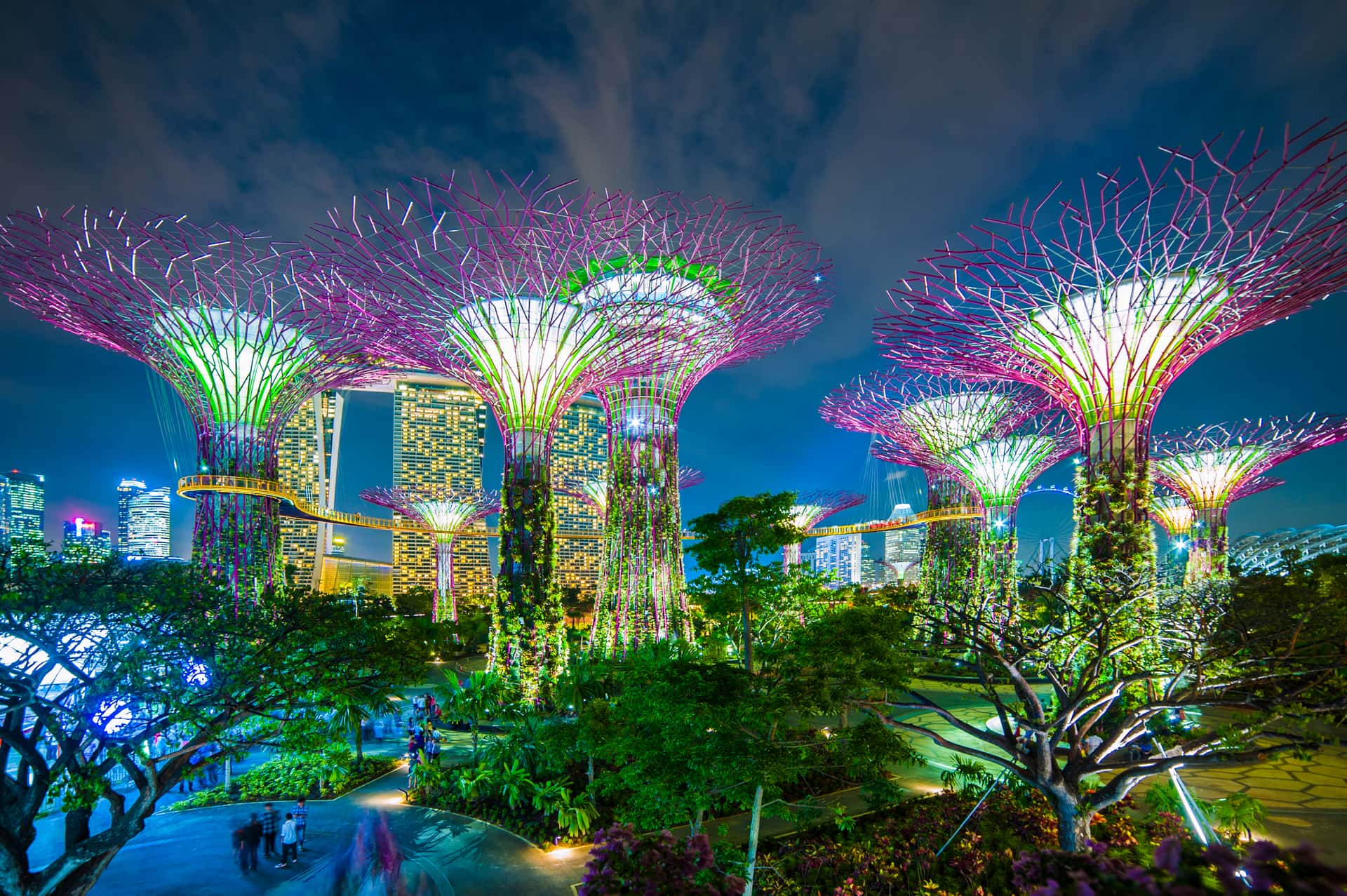 Gardens By The Bay in Singapore