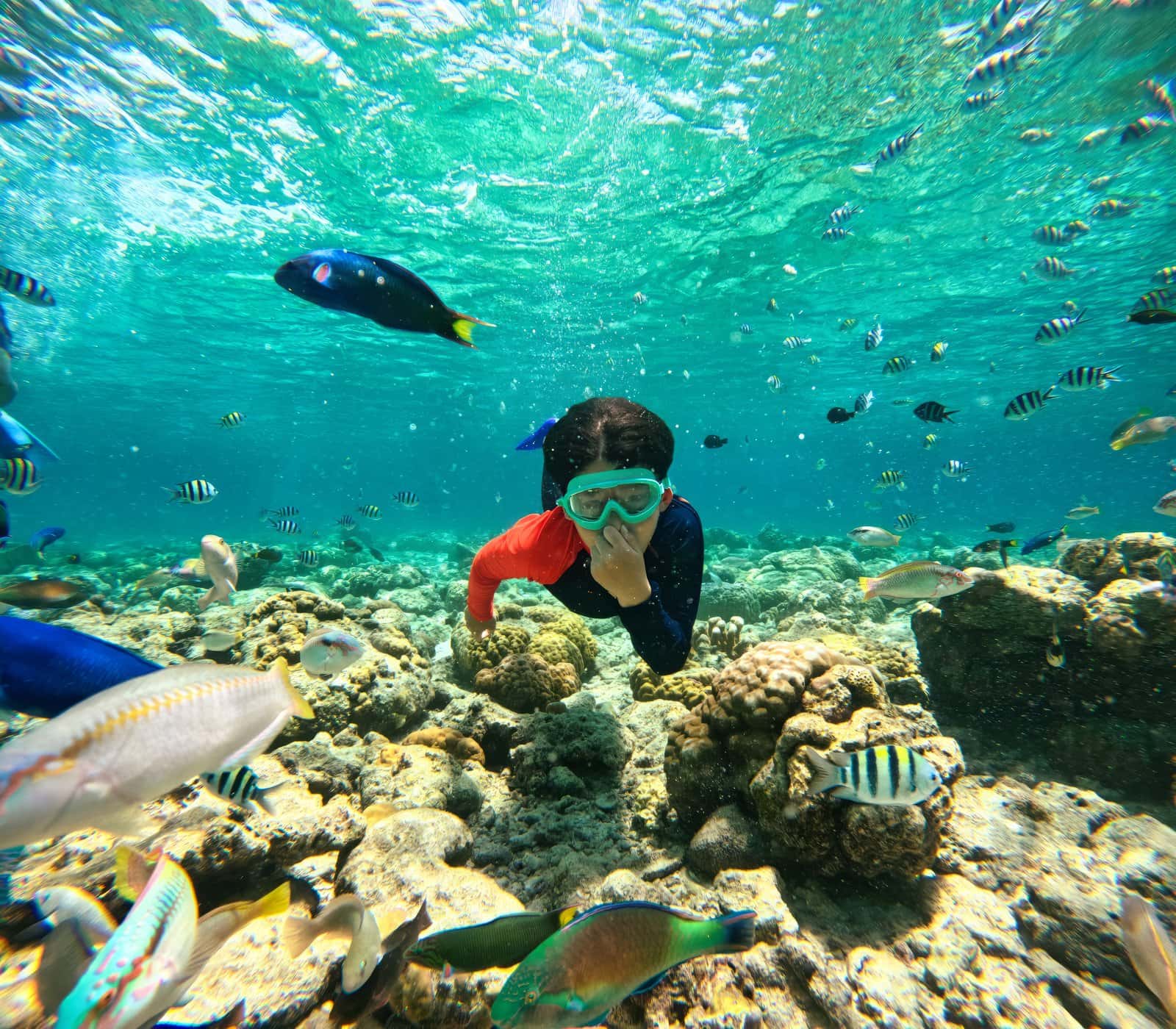 Go Snorkeling At Pigeon Island in Sri Lanka