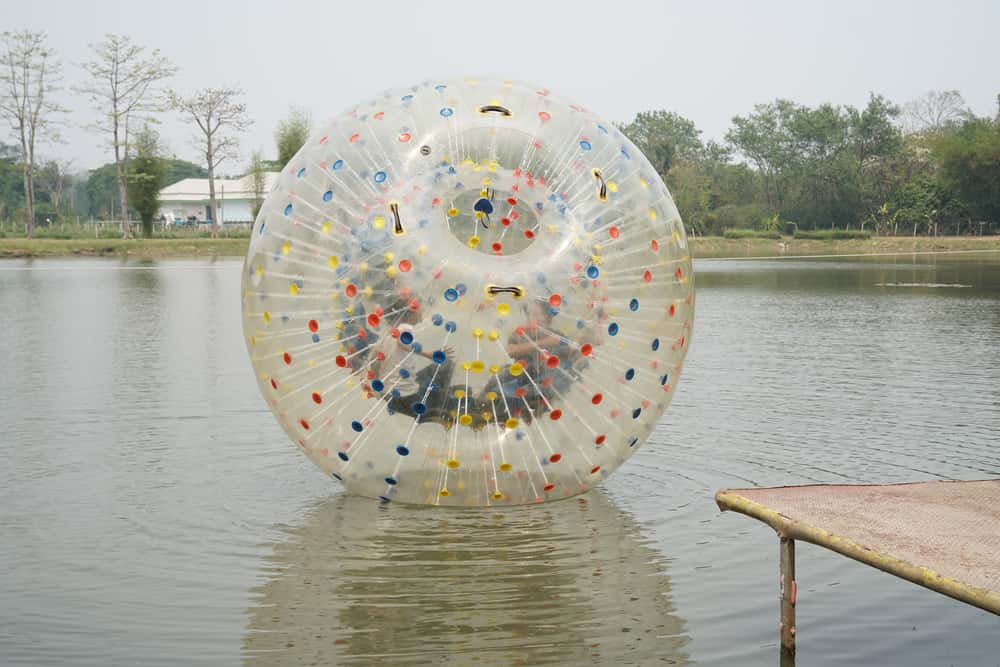 Go zorbing in Australia - New Zealand