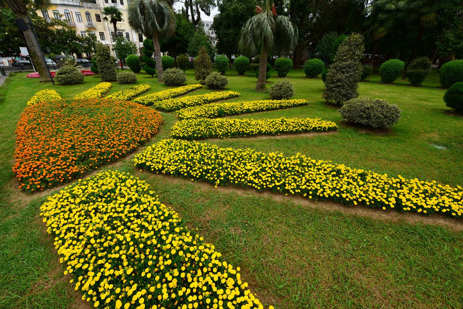 Hakgala Botanical Garden in Sri Lanka