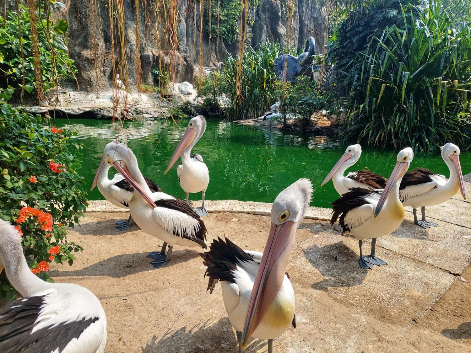 Jurong Bird Park in Singapore