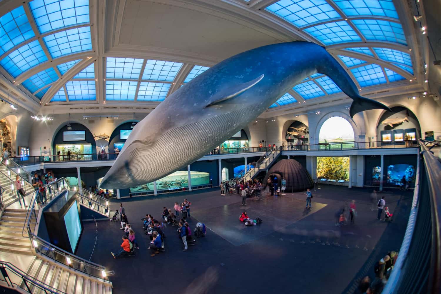 SeaWorld San Diego in USA - United States