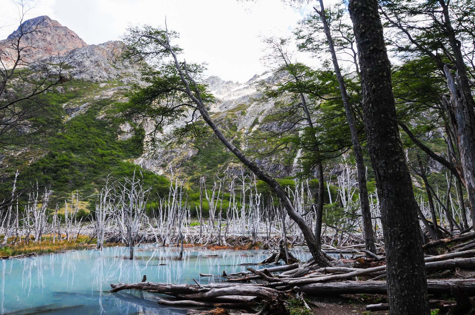 Spend A Day At Shonga-Tser Lake in Nepal