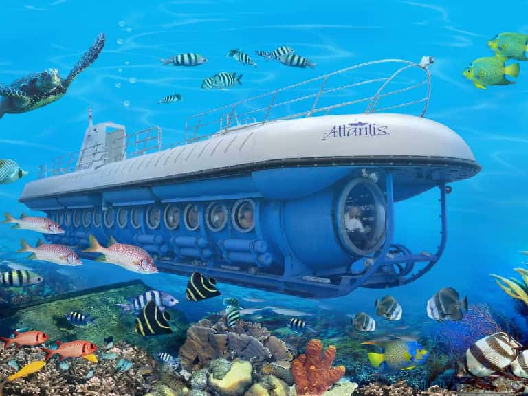 Go for a Submarine Ride in Maldives in Maldives