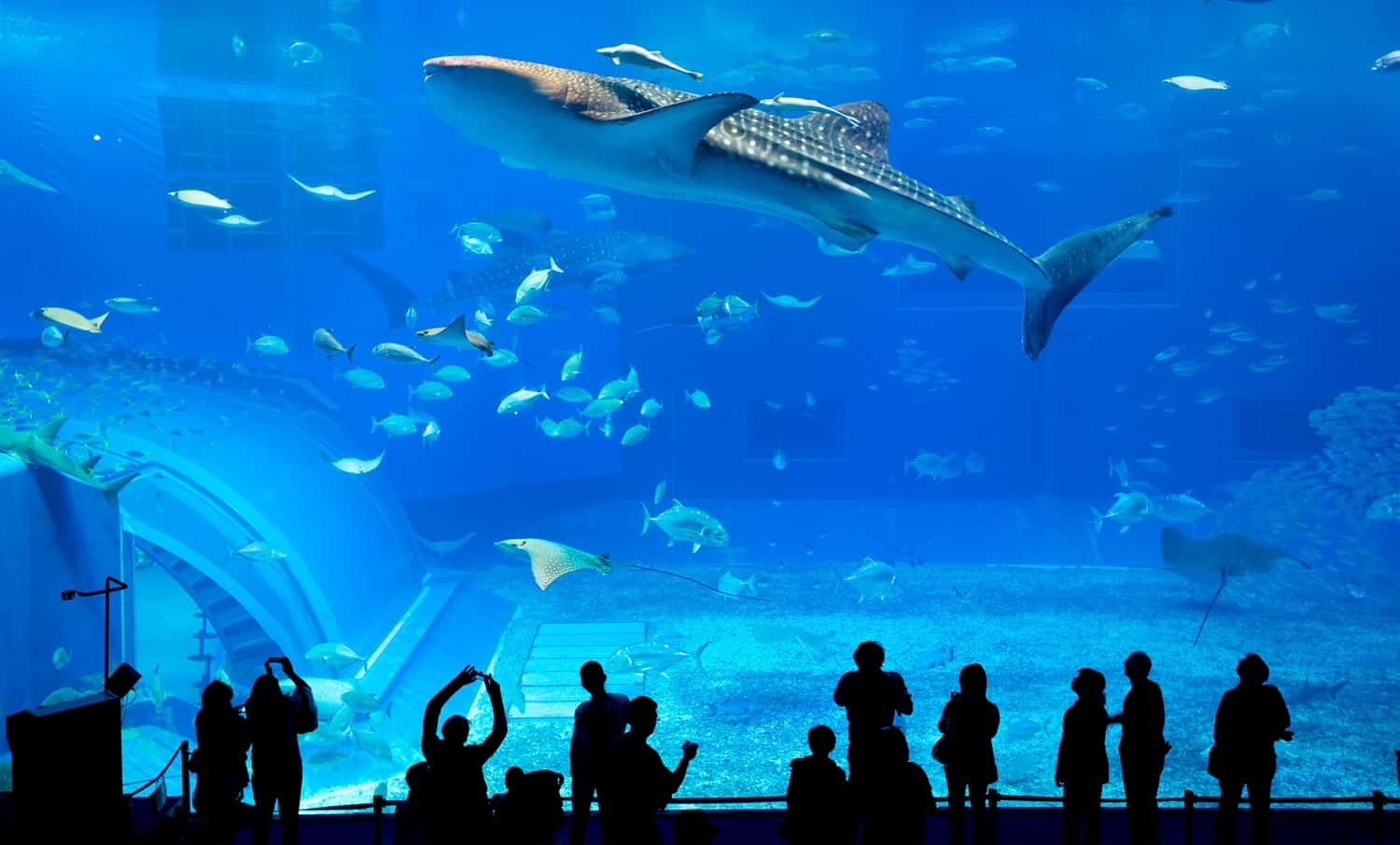 Aquaria KLCC in Singapore Malaysia