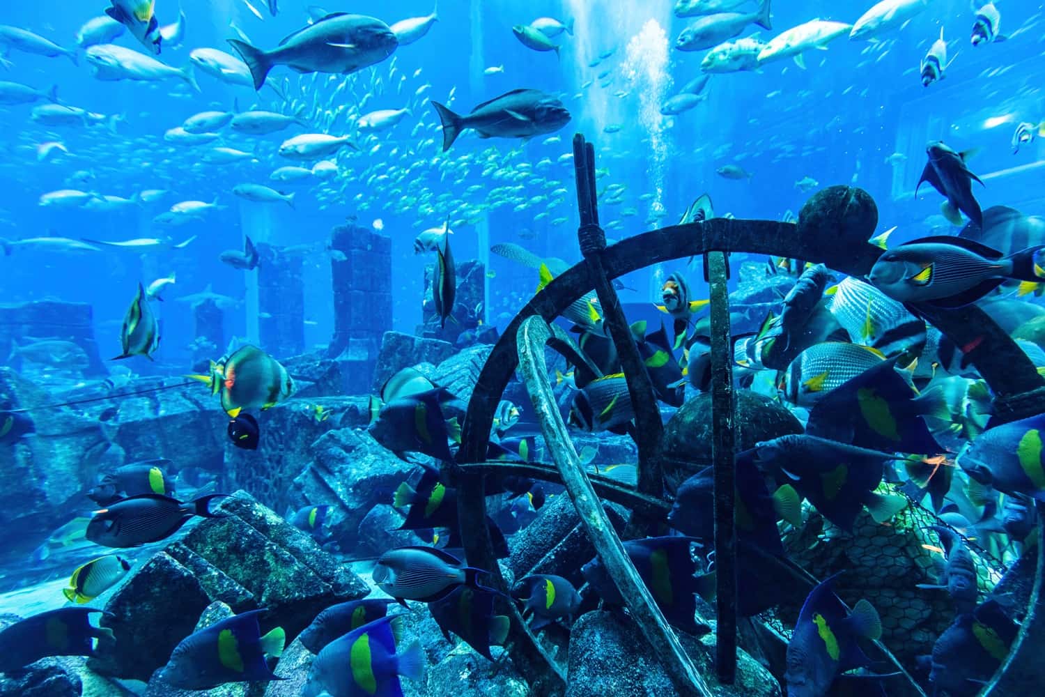 Aquaventure & Lost Chambers in UAE - Dubai