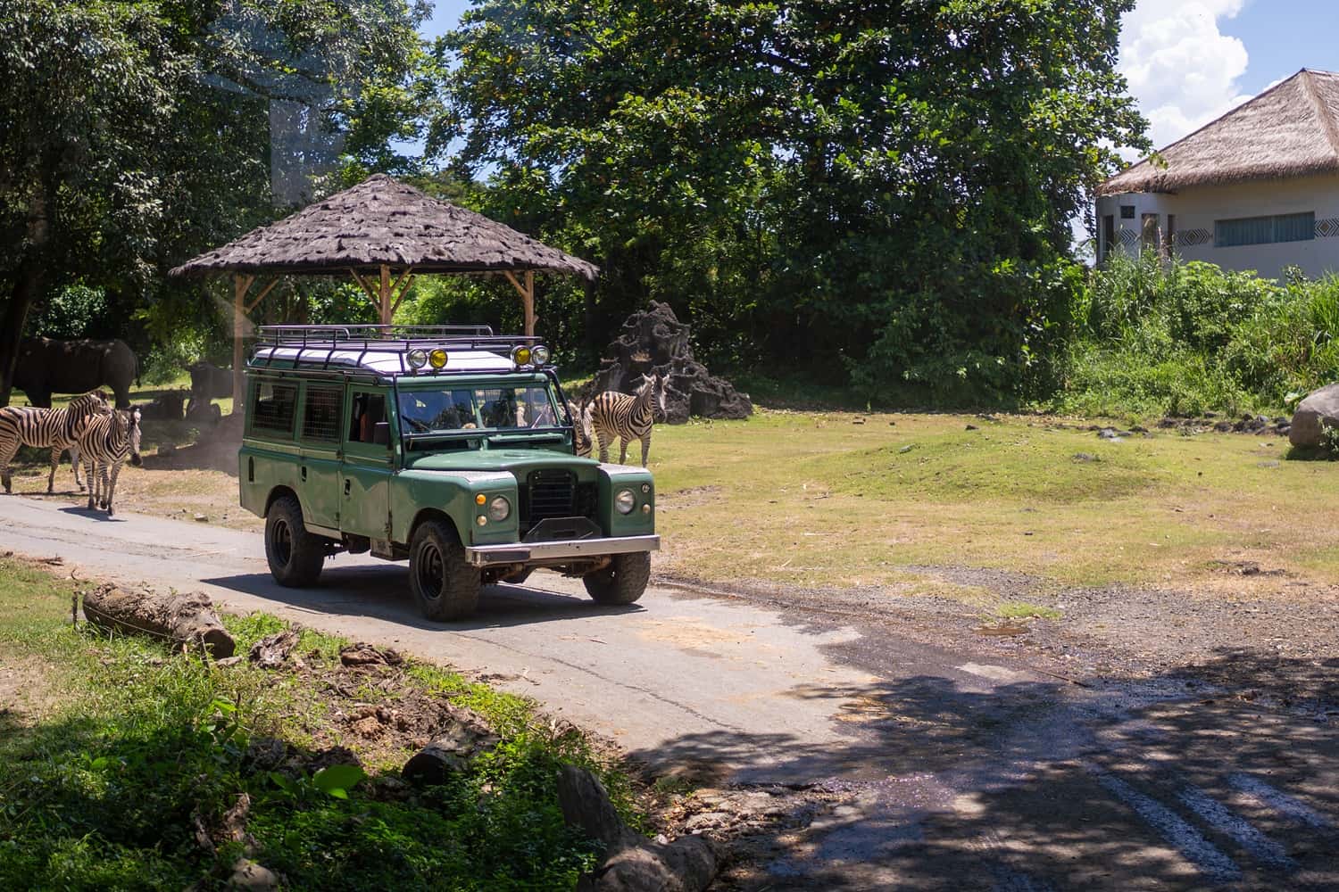 Bali Safari & Marine Park in Bali