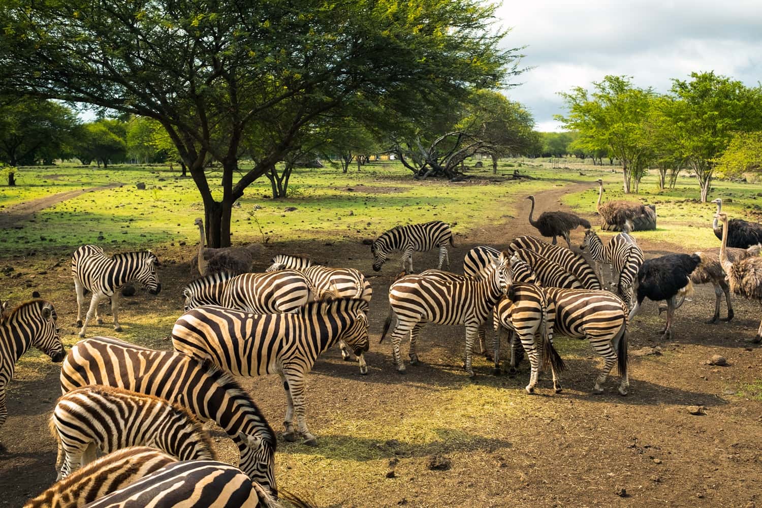 Casela World of Adventures in Mauritius