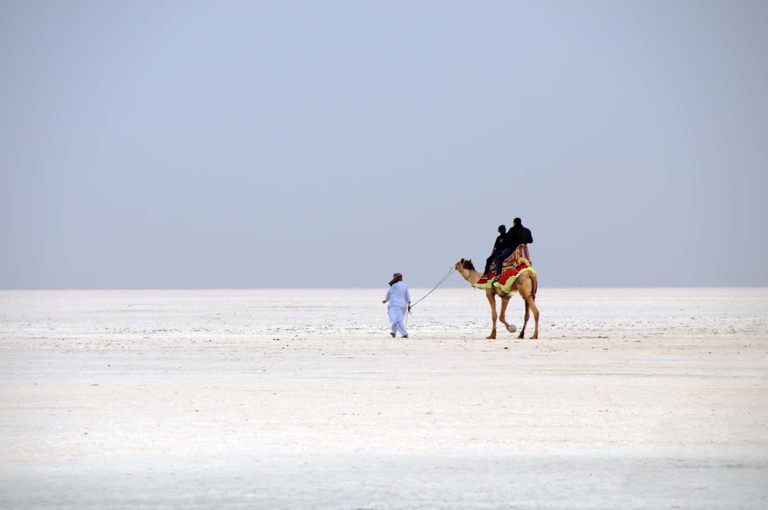 Explore Rann of Kutch  in Gujarat