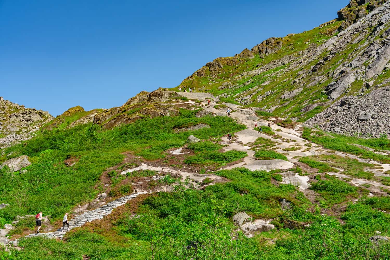 Go for Trek to Dainkund Peak in Himachal