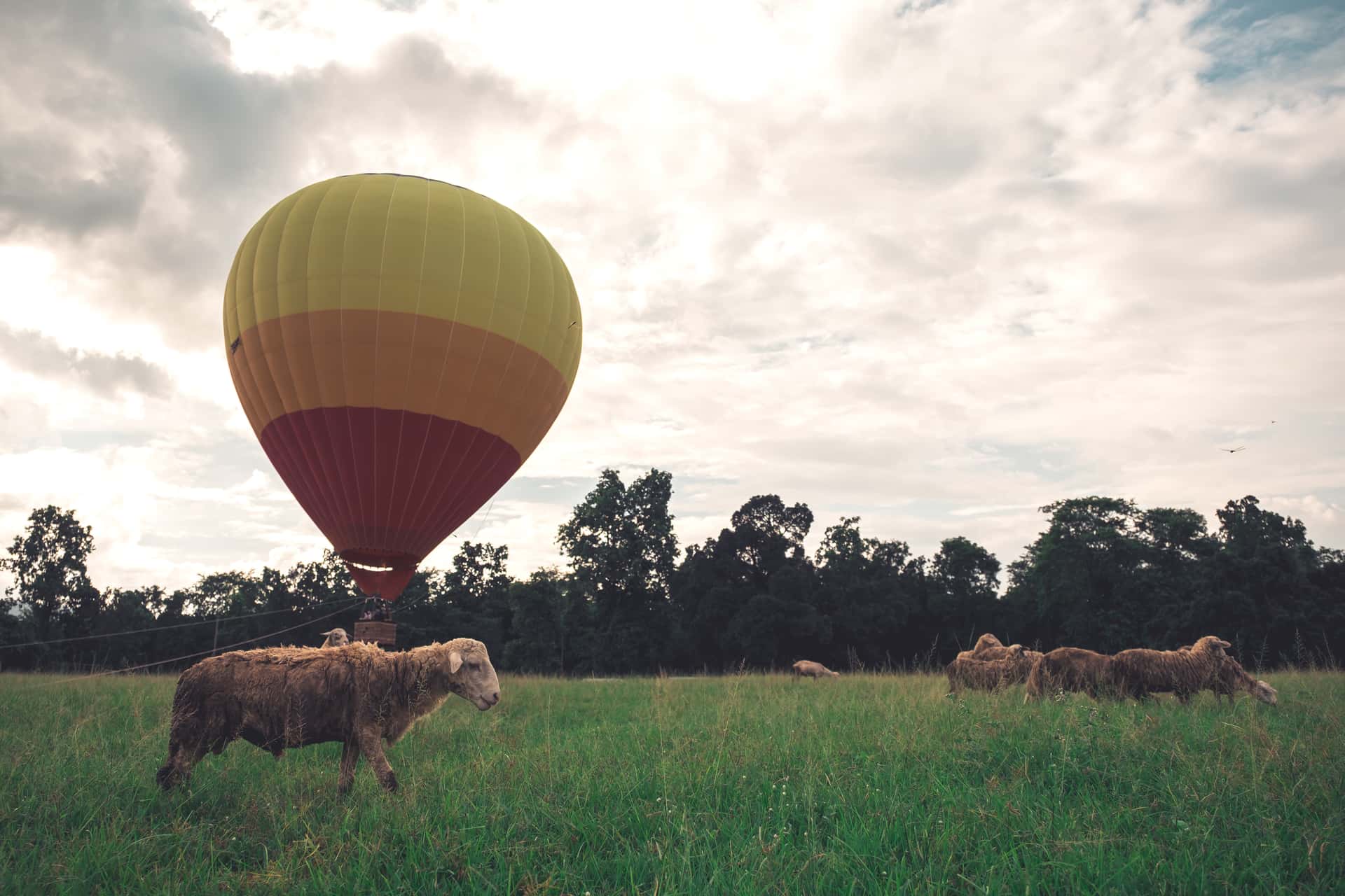 Go Hot Air Ballooning across the picturesque Yarra Valley in Australia