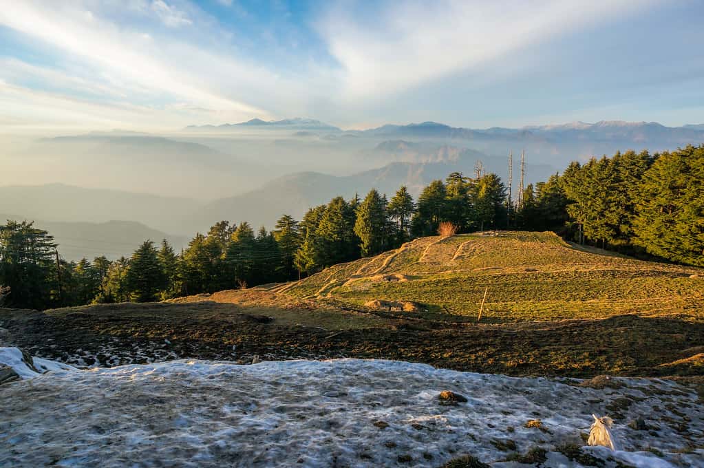 Kalatop Wildlife Sanctuary in Himachal