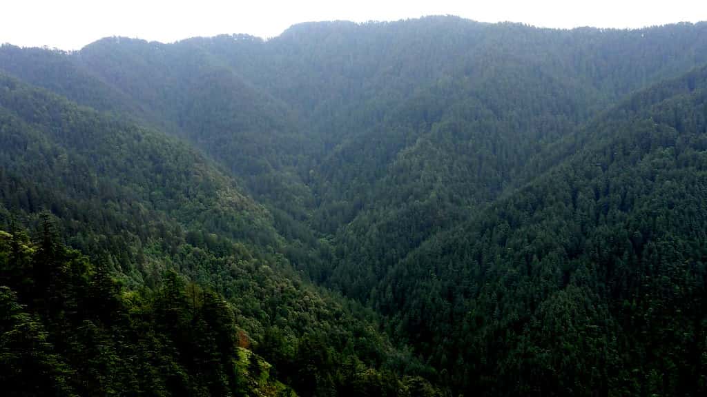 Kufri Valley in Himachal