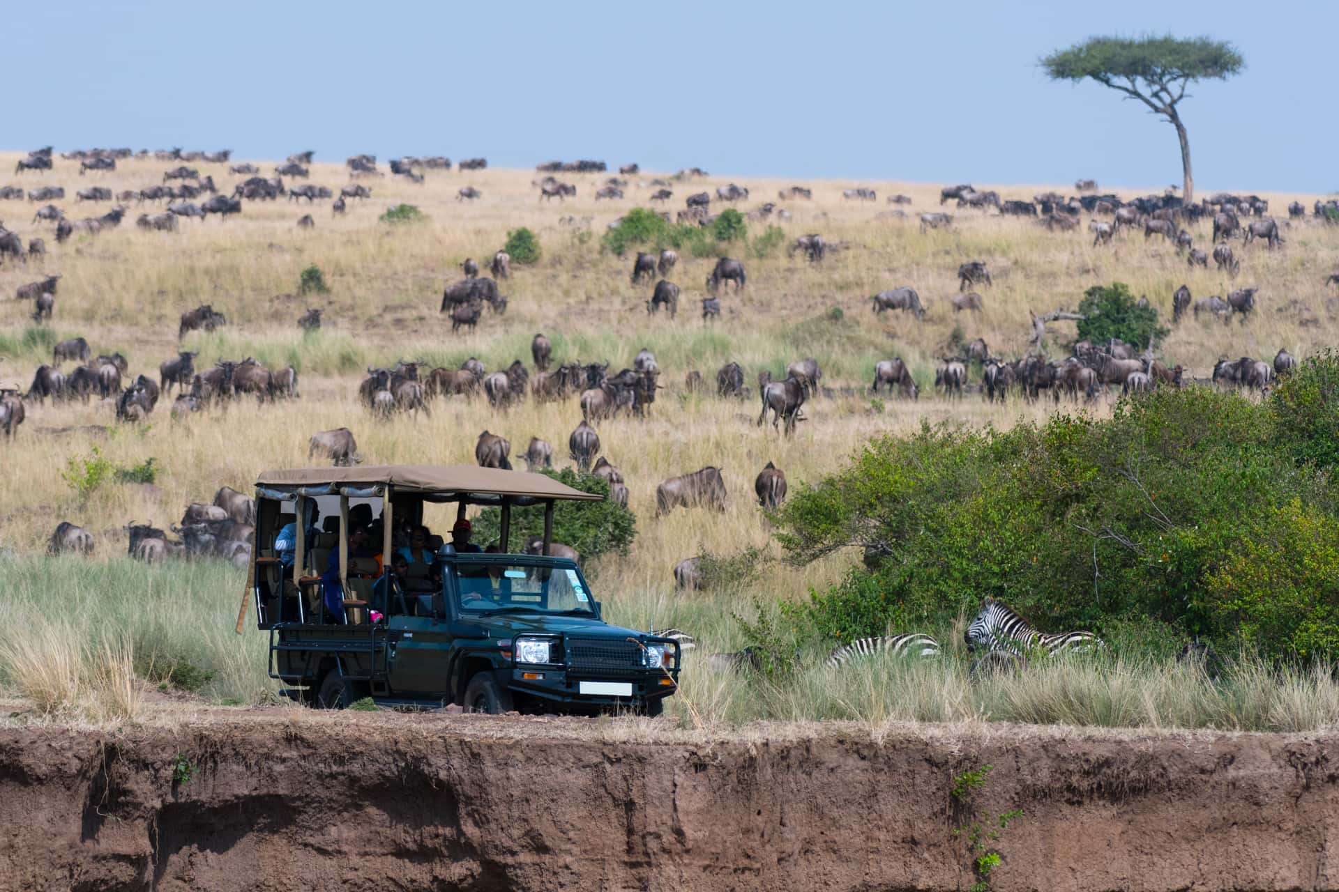 Masai Mara Game Drive in Kenya