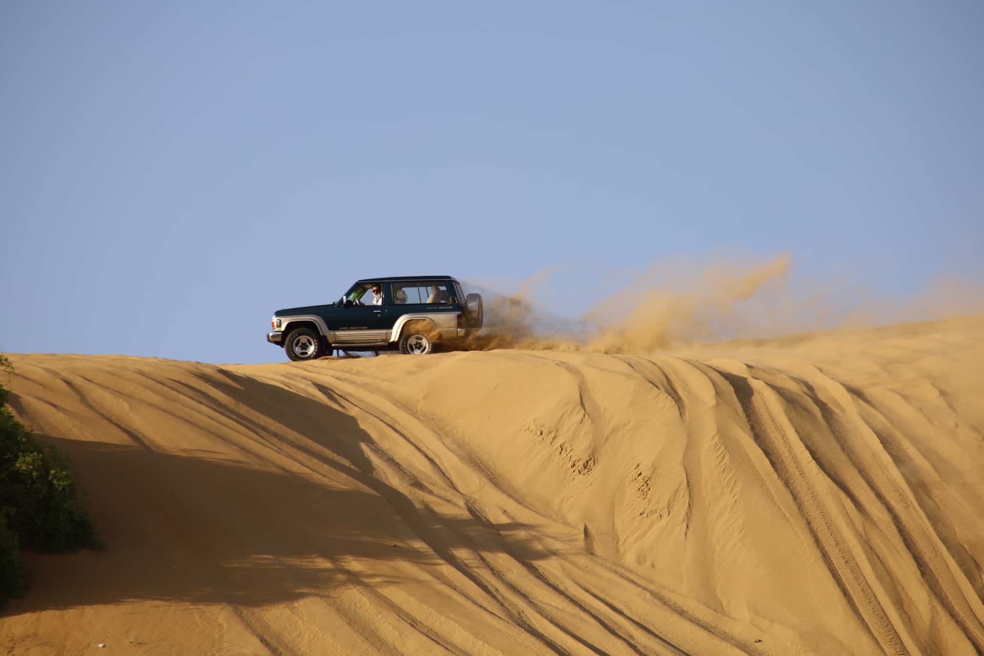 Desert Safari with BBQ Dinner in UAE - Dubai