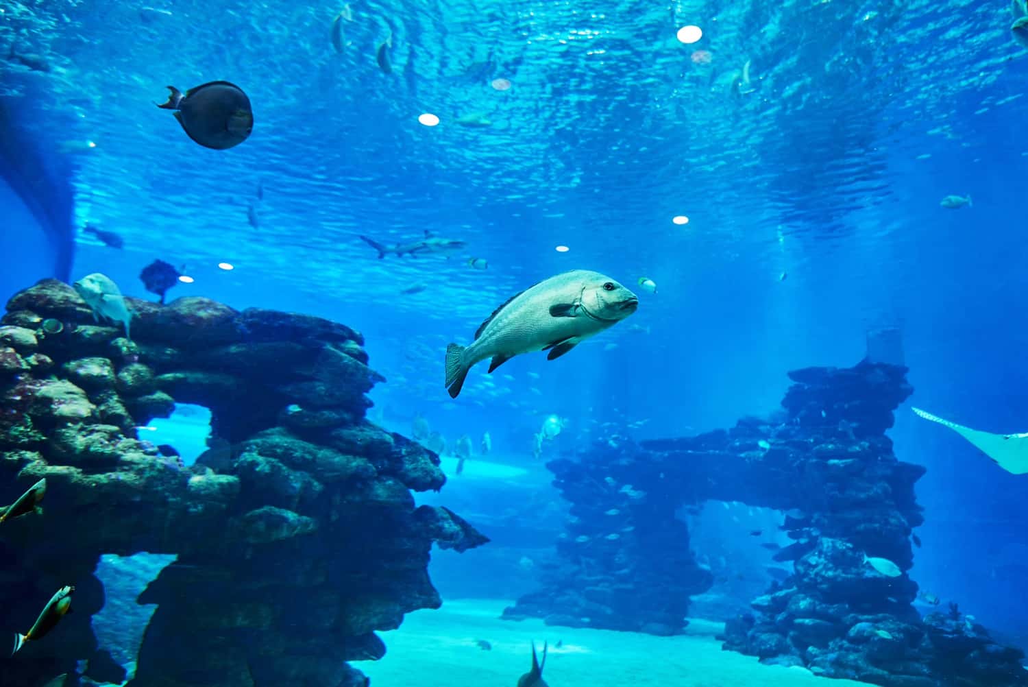 Ocean Kingdom Park in China