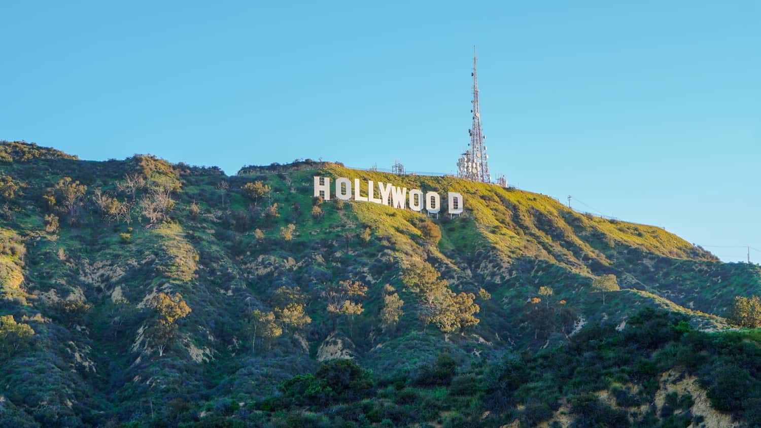 Say hello to Hollywood in USA - United States