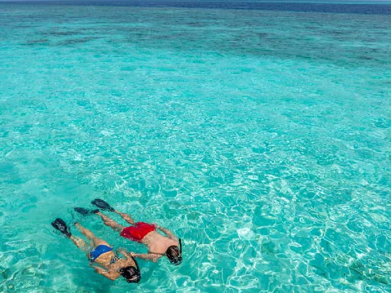 Snorkeling In The Maldives in Maldives