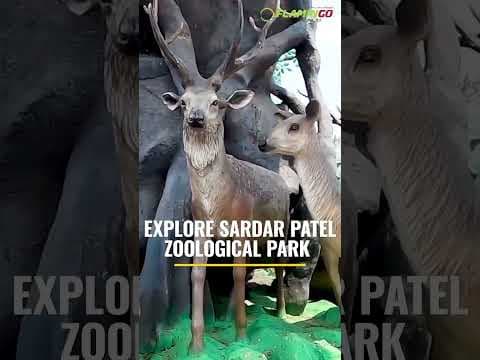 Things to do near Statue of Unity