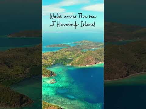 Things to do in Andaman