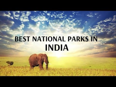 Best National Park In India