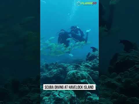 Bucket list Experience to cover in India