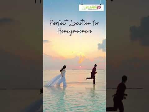 Reasons to Visit Mauritius!