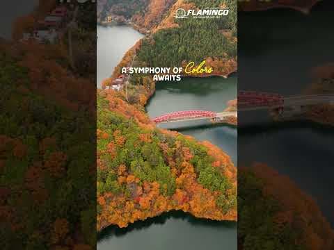 Japan Autumn Reel