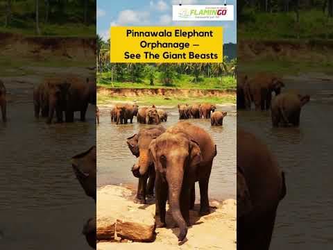 Sri Lanka opens for tourism- Are you all ready to explore these beautiful places in Sri Lanka ?