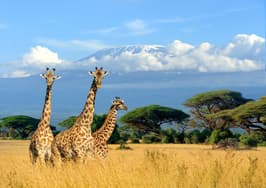 Kenya & Tanzania Fixed Departure tour package theme