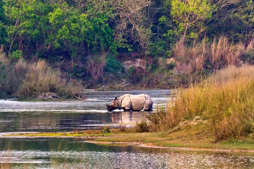 Chitwan National Park