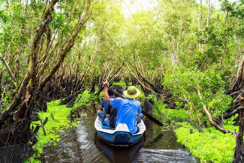 Cruise Through the Mangroves