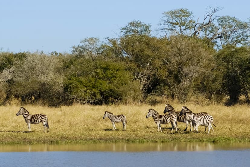 Kruger National Park