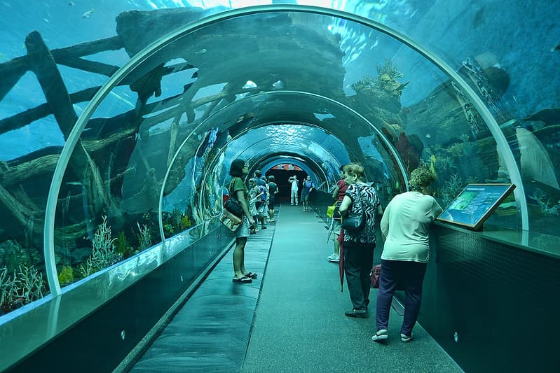 Marine Park S.E.A Aquarium