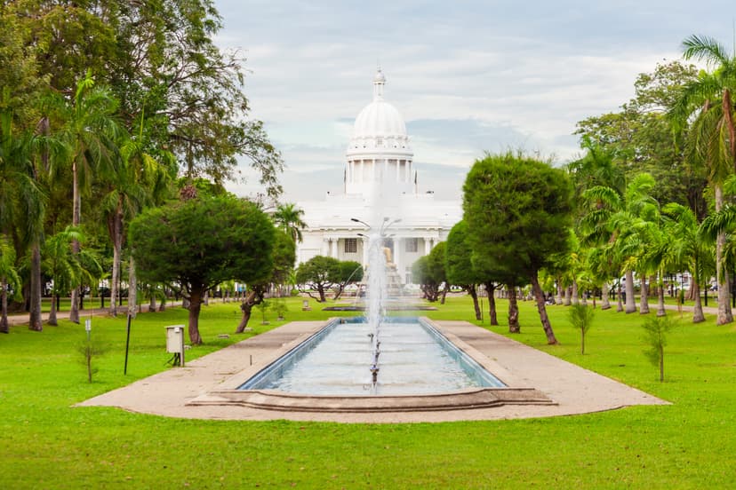The Victoria Park
