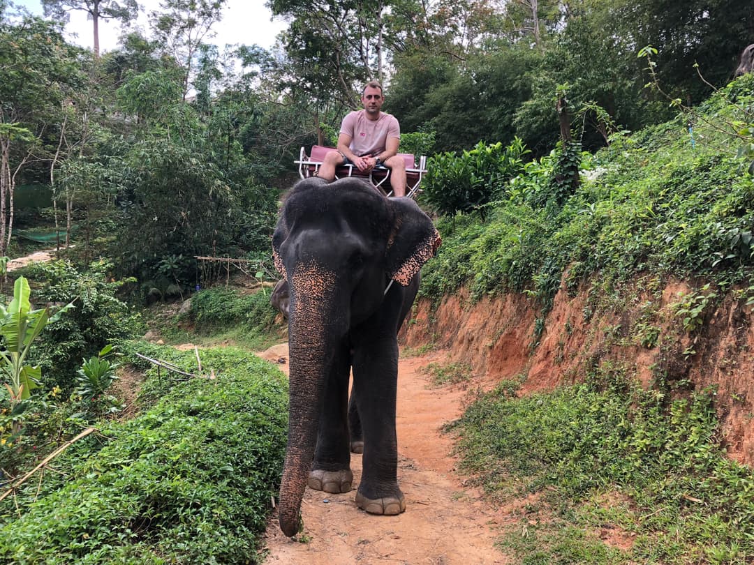 Take An Elephant Ride