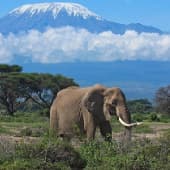 easy-kenya1.jpg