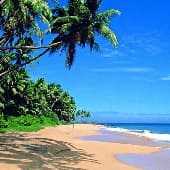 easy-sri lanka.jpg