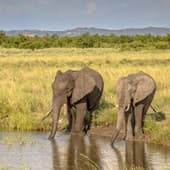 easy-tanzania-visa.jpg
