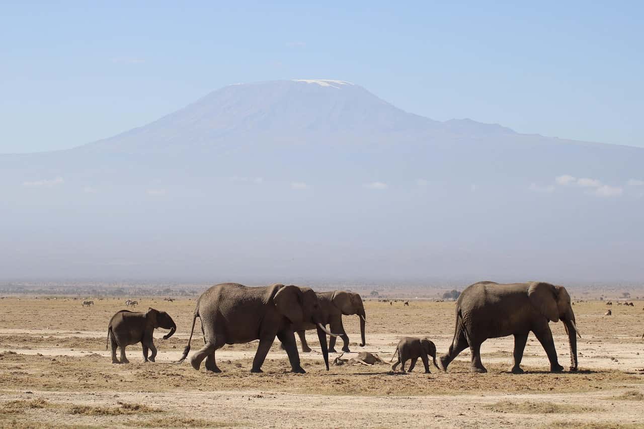 Climb Mount Kilimanjaro in Tanzania