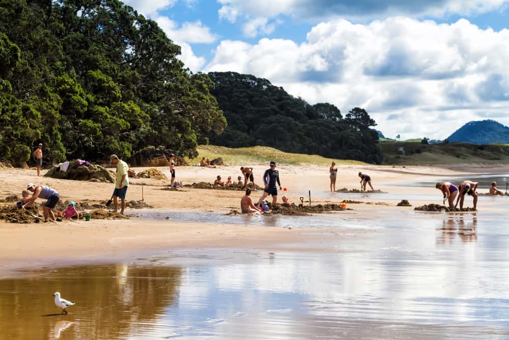 Dig your own Spa at Hot Water Beach in Australia & New Zealand Summer 2026 Tours