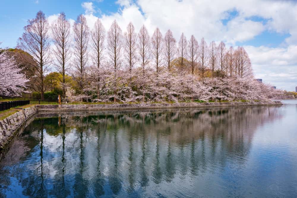 Enjoy 4 Seasons at Japanese Gardens in China-Japan Senior Citizen Tours