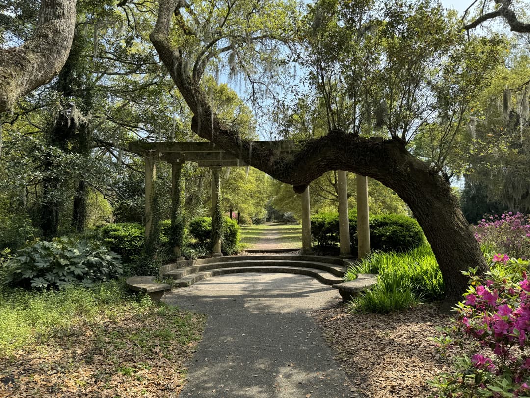 Enjoy Some Calm At Harry P Leu Gardens