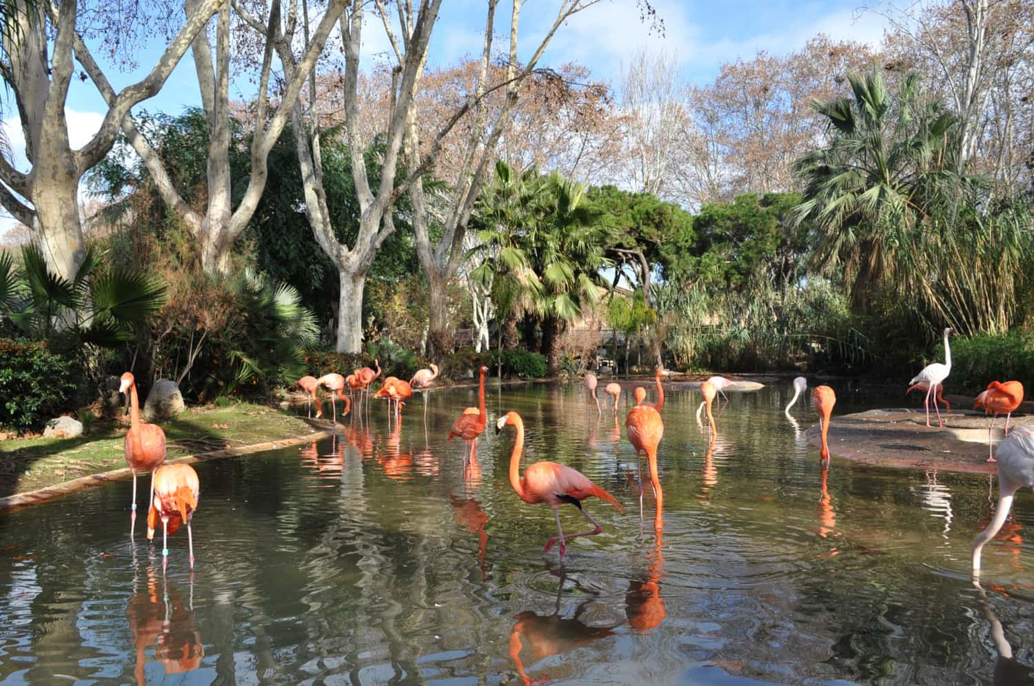 Explore Zoo Miami, one of the nation’s top-rated zoos in America & Canada Summer 2026 Tours