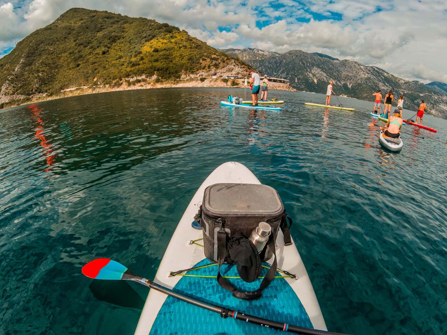 Go Kayaking In The Heart of Cape Town in Africa Monsoon Tours