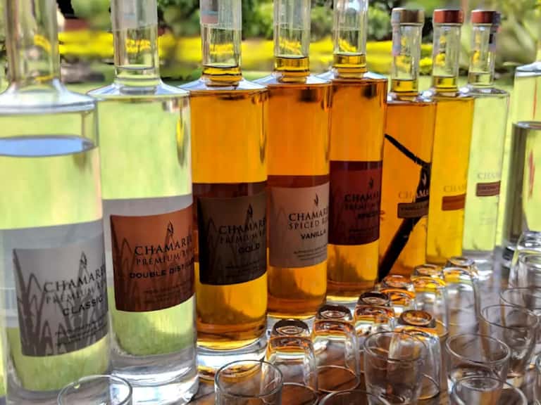 Relish Mauritian Rum in Africa Summer 2026 Tours